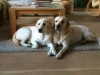 Juna und Eila von der Zauberschmiede