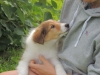 Charlie am 09.08.2017